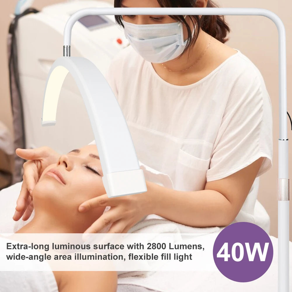 23" Half Moon Lash Light – Adjustable LED Lamp