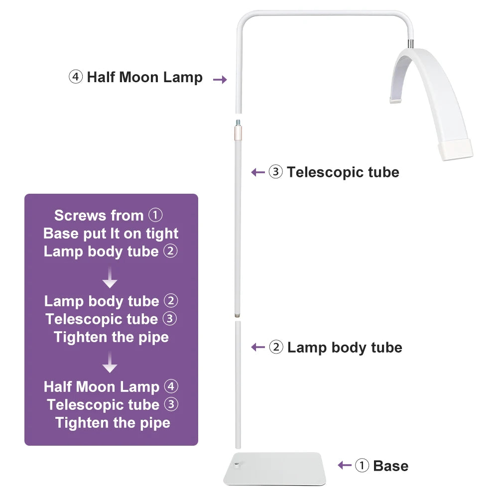 23" Half Moon Lash Light – Adjustable LED Lamp