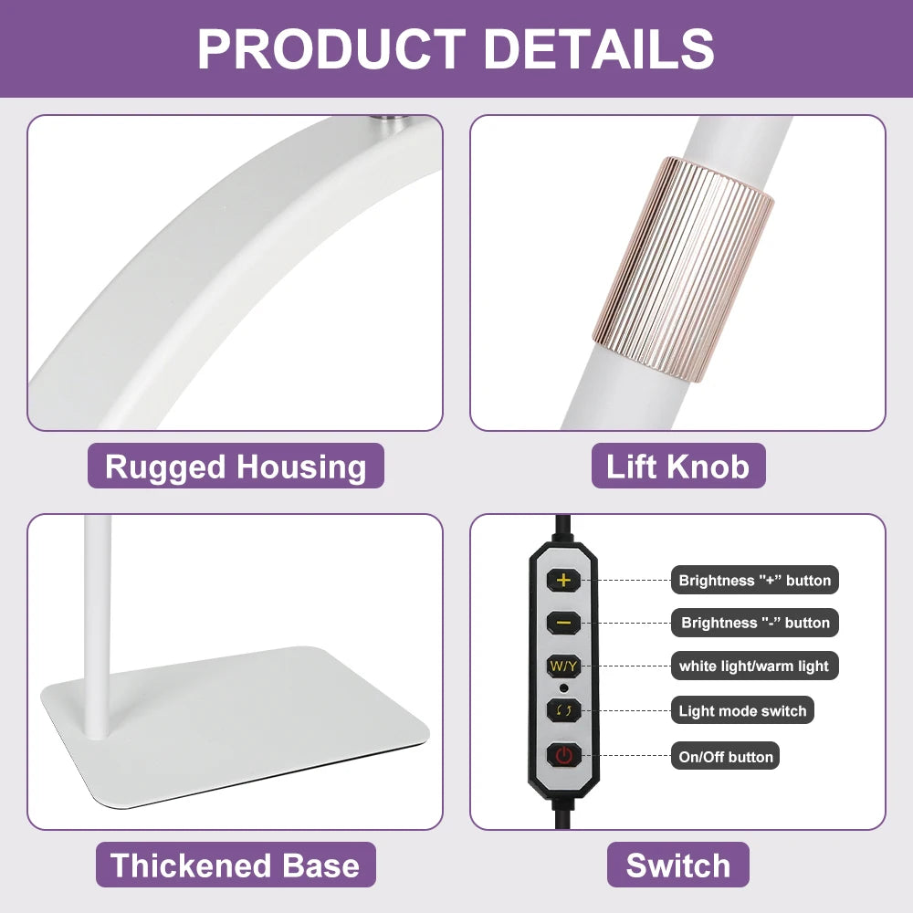 23" Half Moon Lash Light – Adjustable LED Lamp